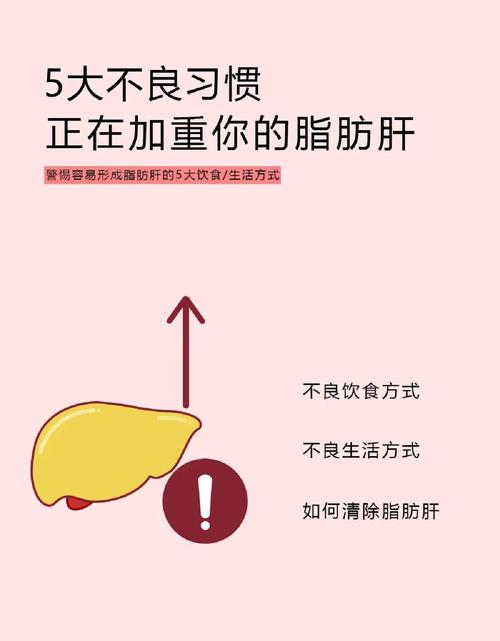 脂肪肝是因为吃的太油腻吗「吃素半年加重脂肪肝怎么办」 融资新闻